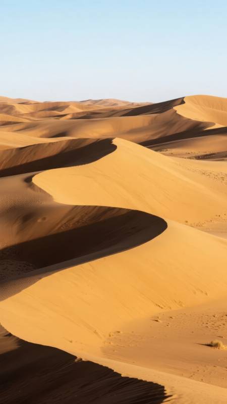 金色沙丘连绵起伏图片