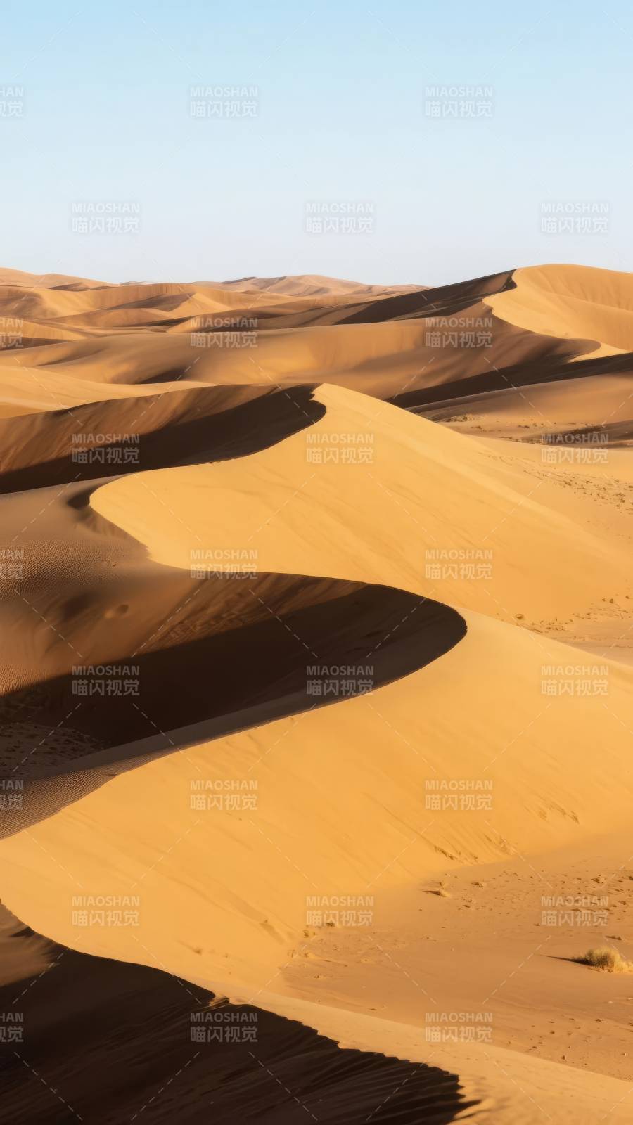 金色沙丘连绵起伏图片