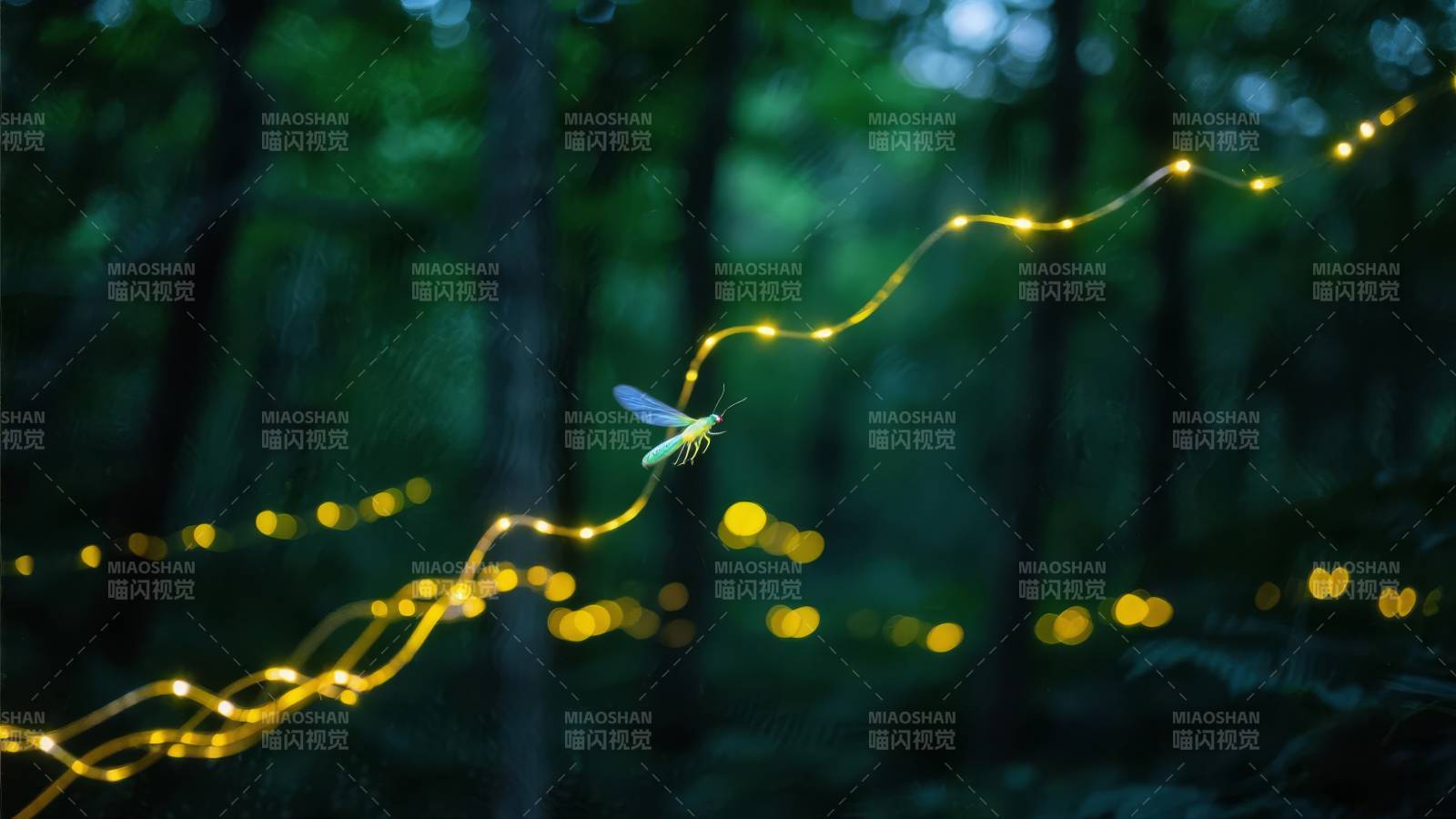 萤火虫的光之舞图片