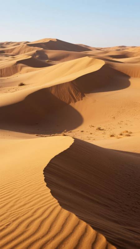 金色沙丘的静谧图片