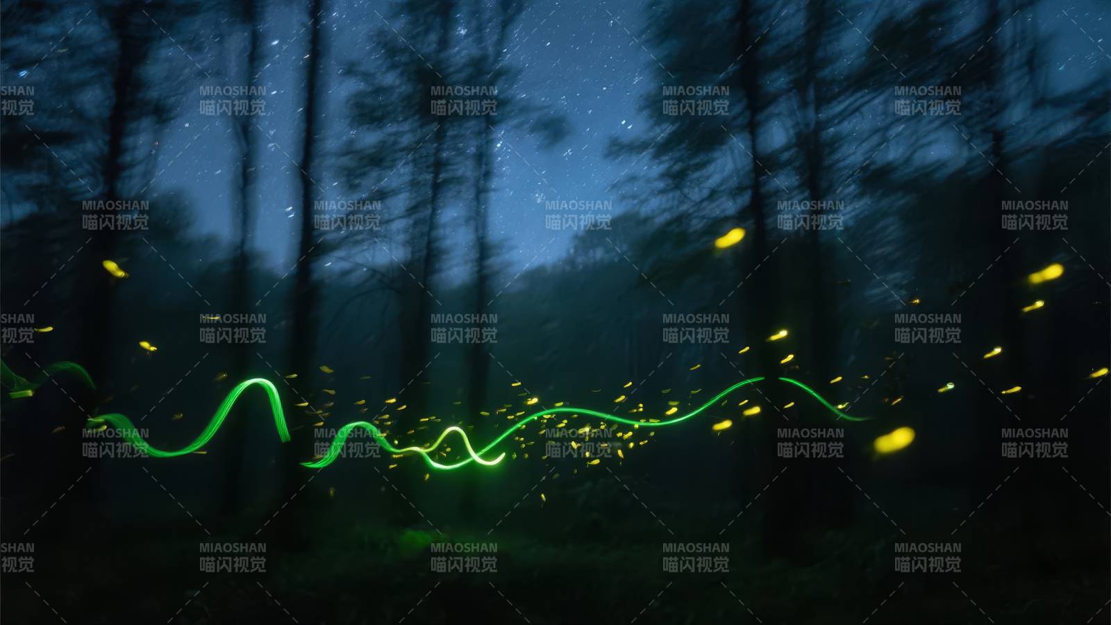 萤火虫夜舞图片