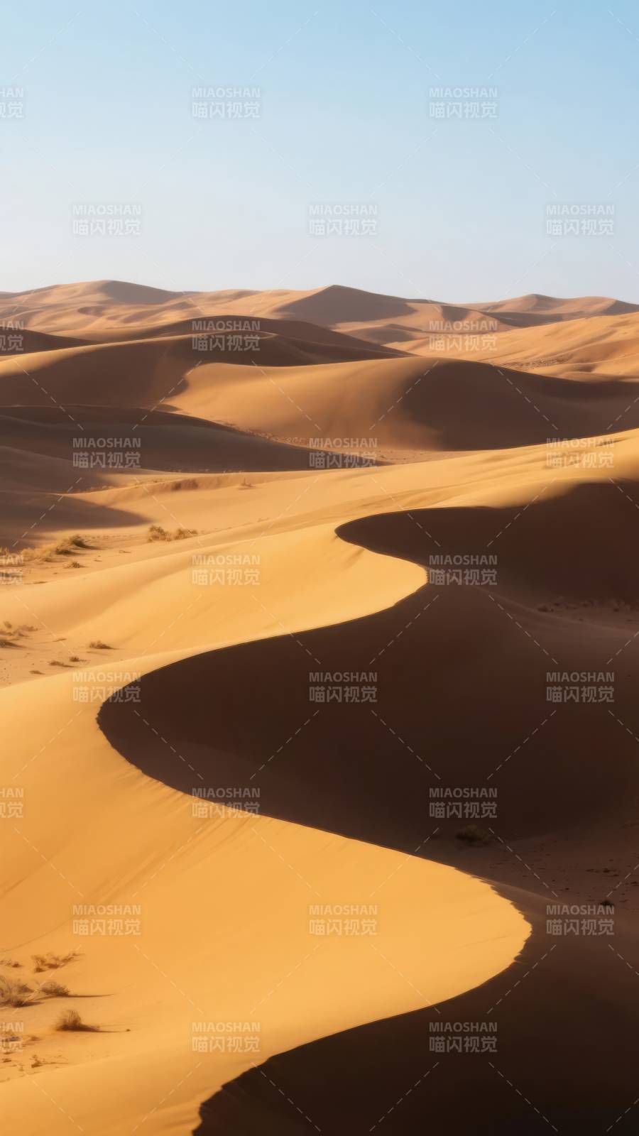 金色沙海蜿蜒图片