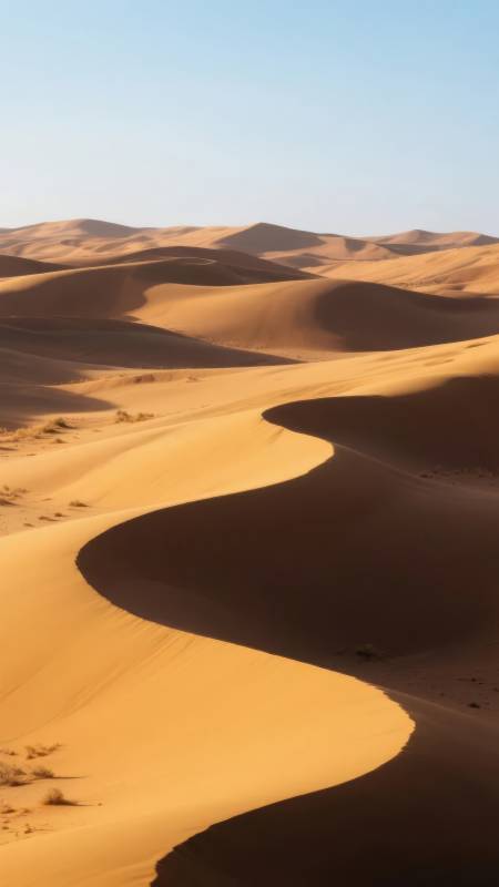 金色沙海蜿蜒图片