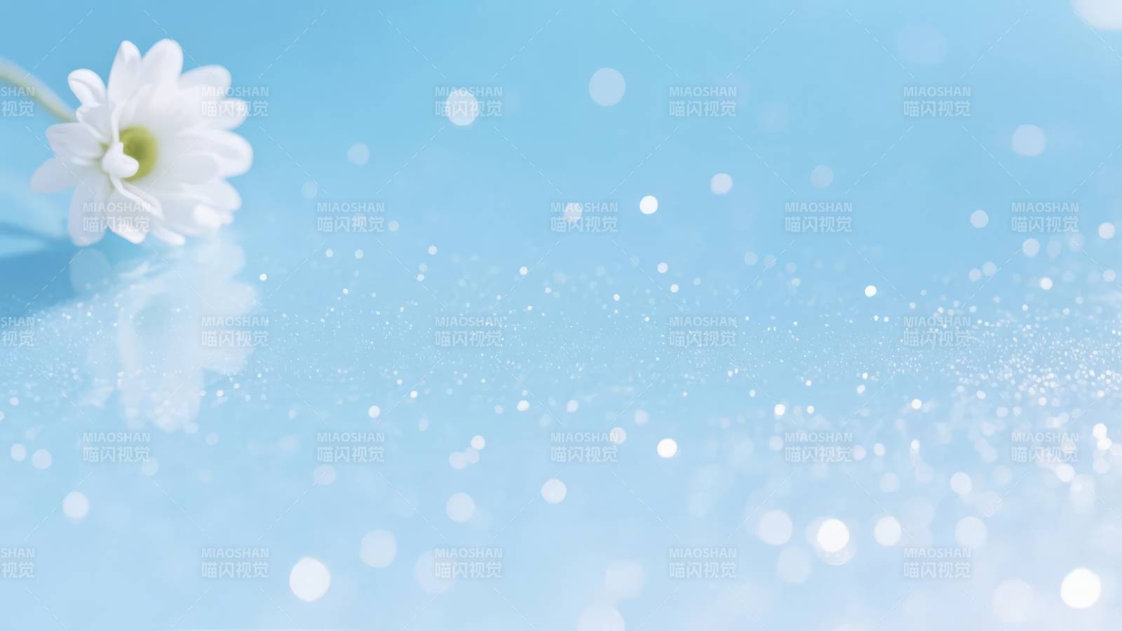 蓝光中的白花图片