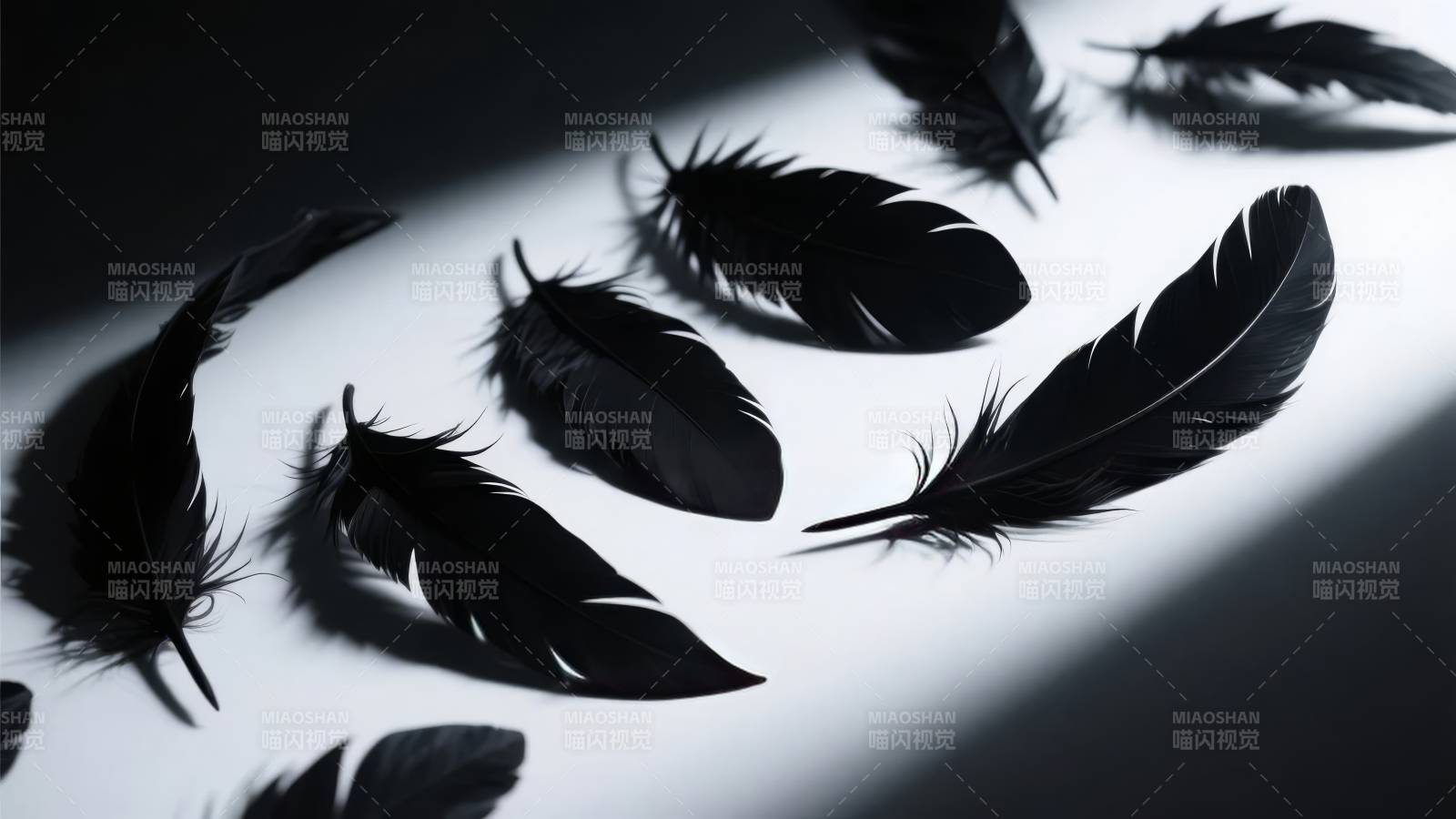 黑羽静影图片