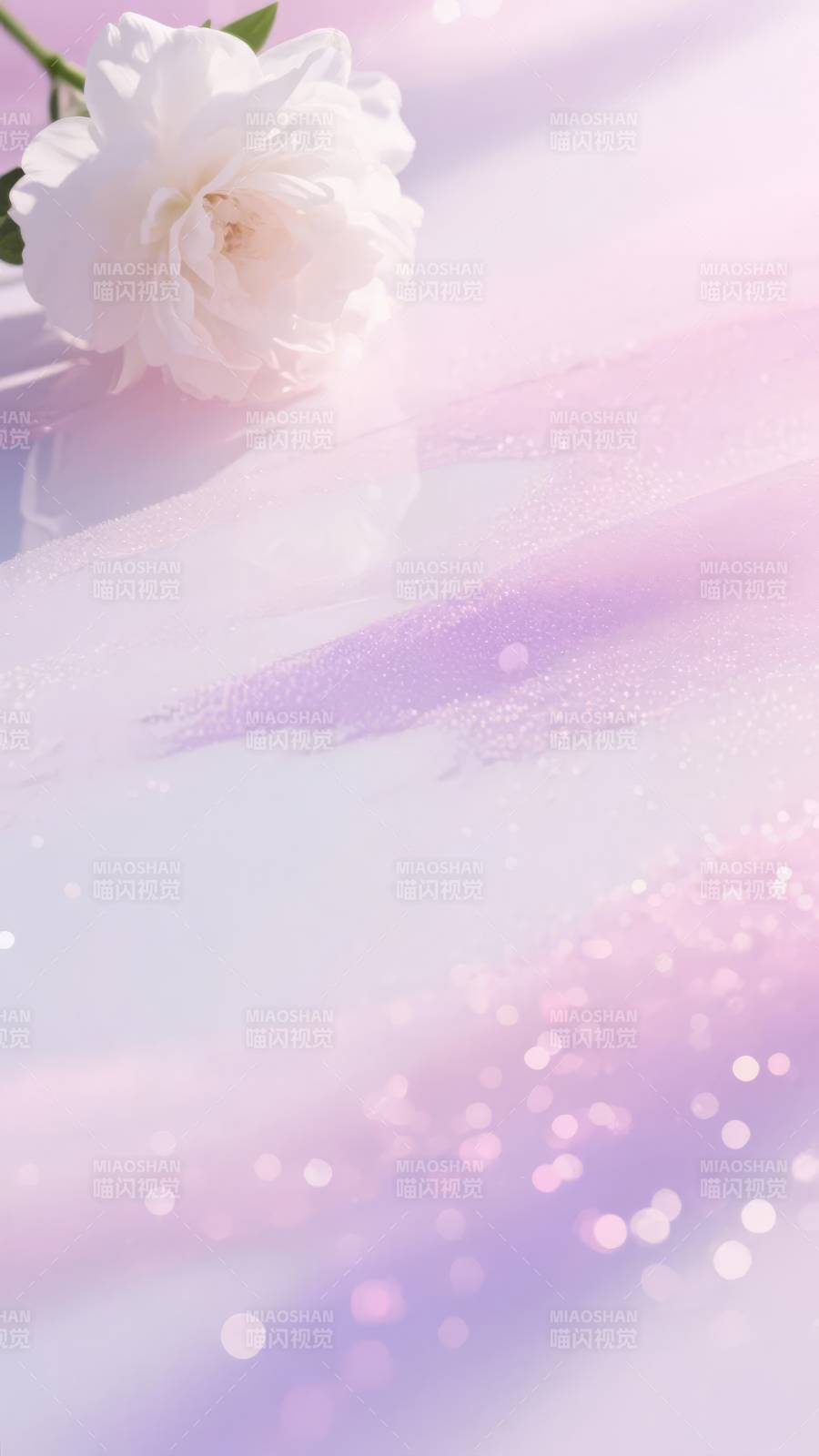 白玫瑰与梦幻光斑图片