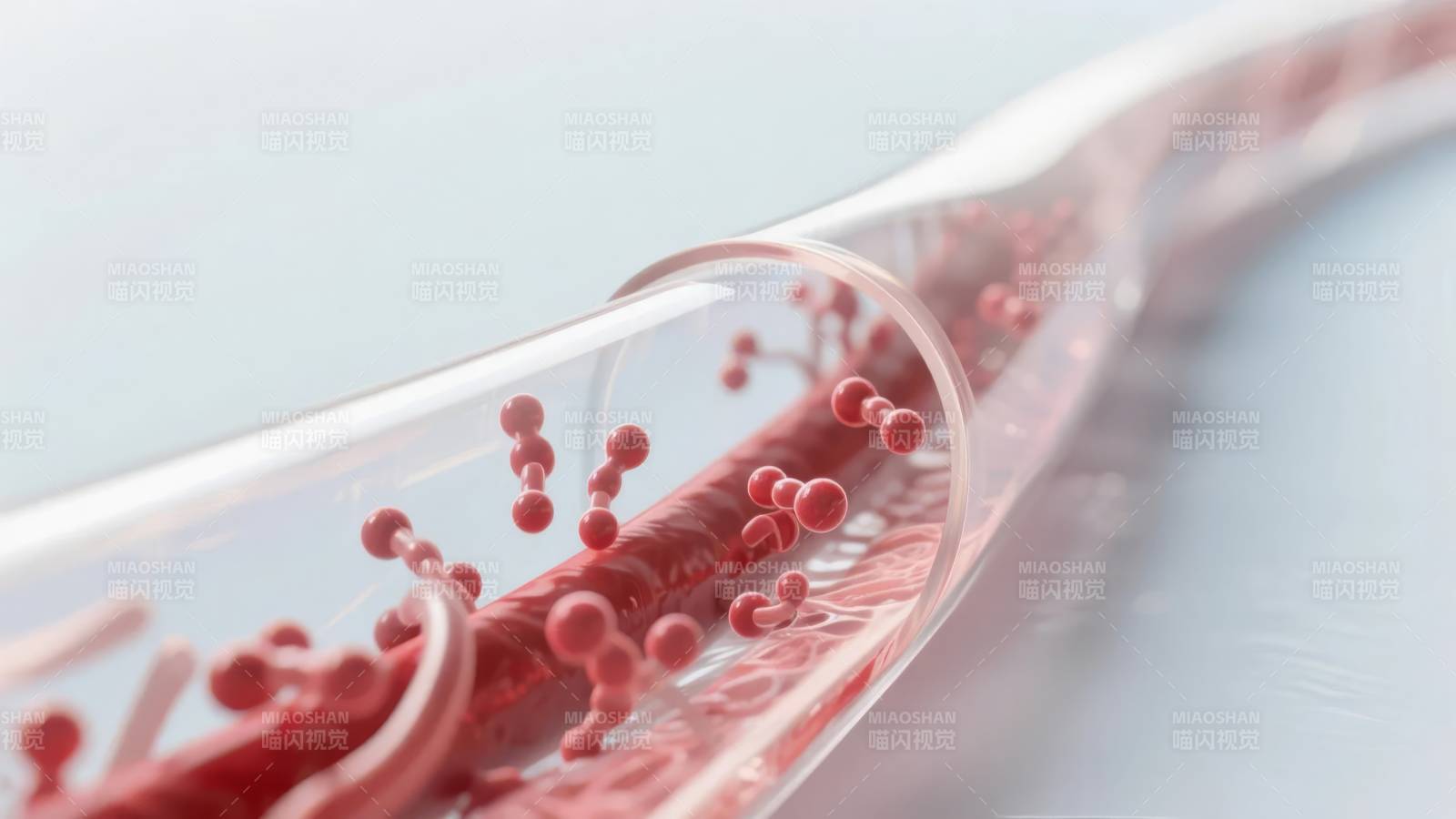 血液流动微观图图片