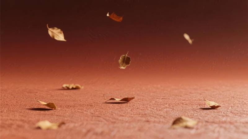 落叶纷飞秋意浓图片