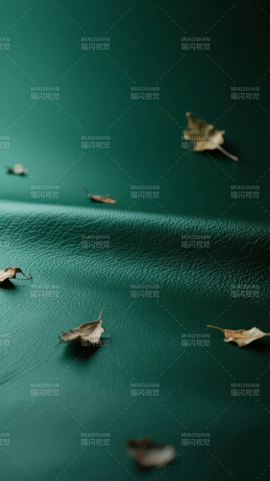 秋叶落绿皮图片