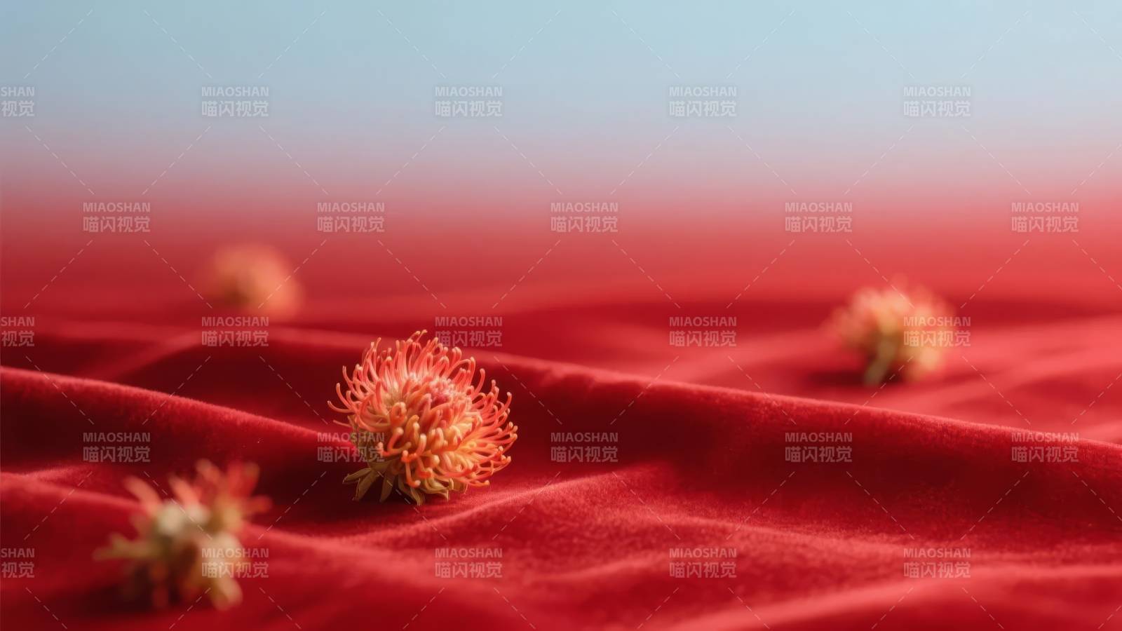 红绒上的花穗图片