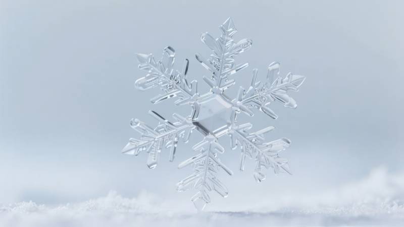 晶莹雪花飘落图片