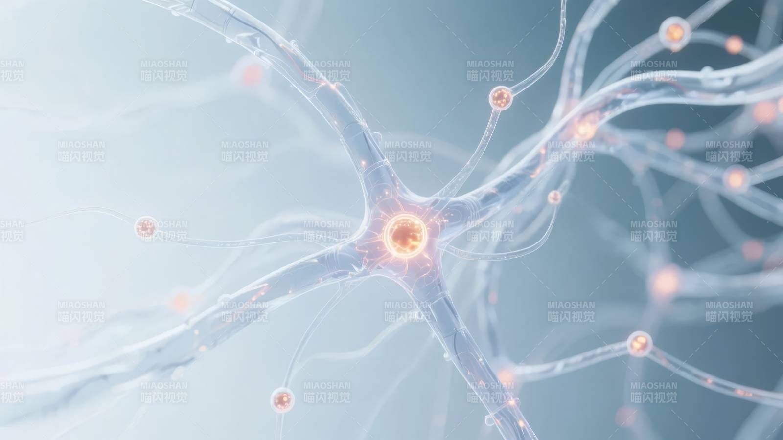 神经元连接示意图图片