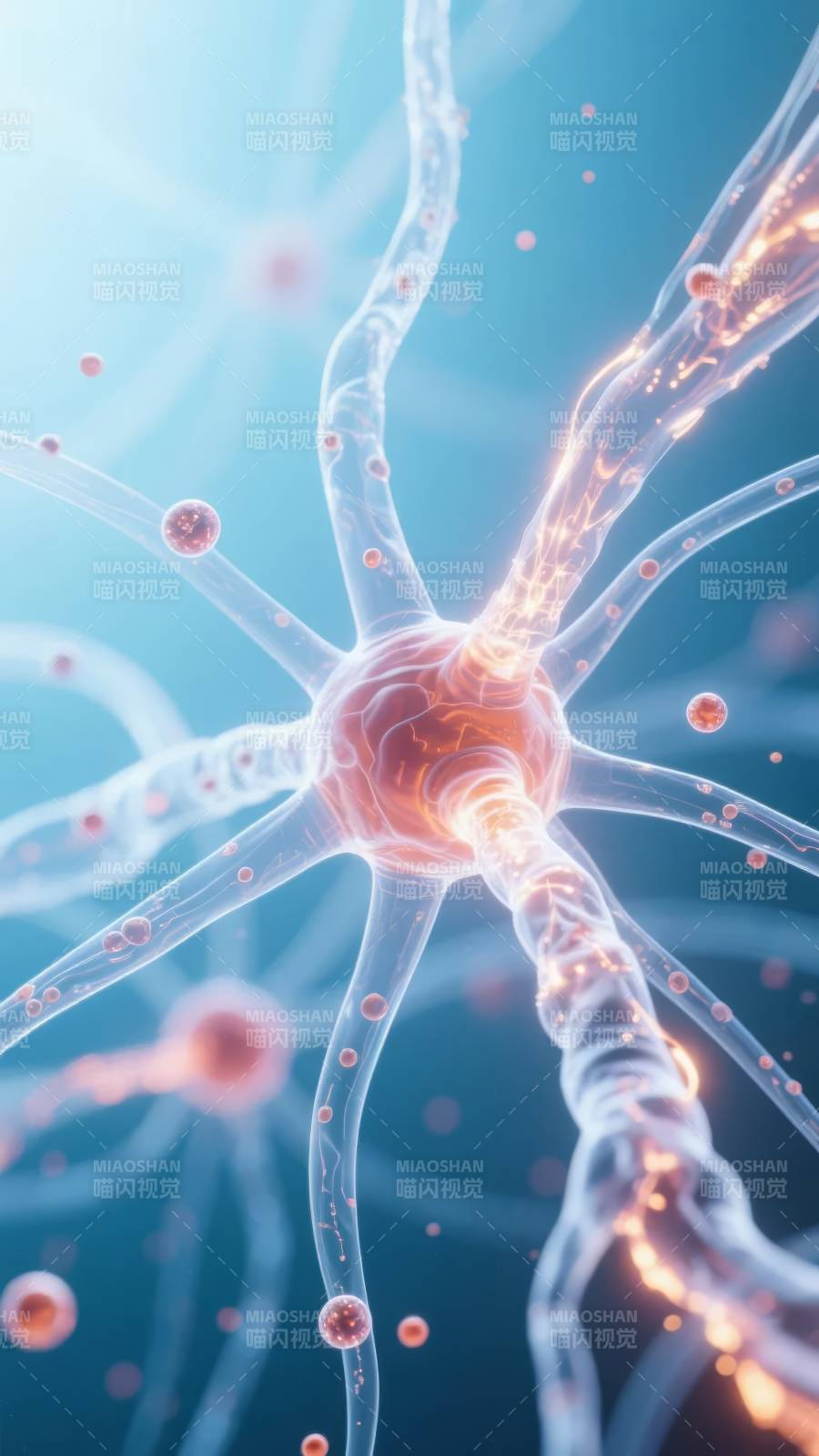 神经元的光辉图片