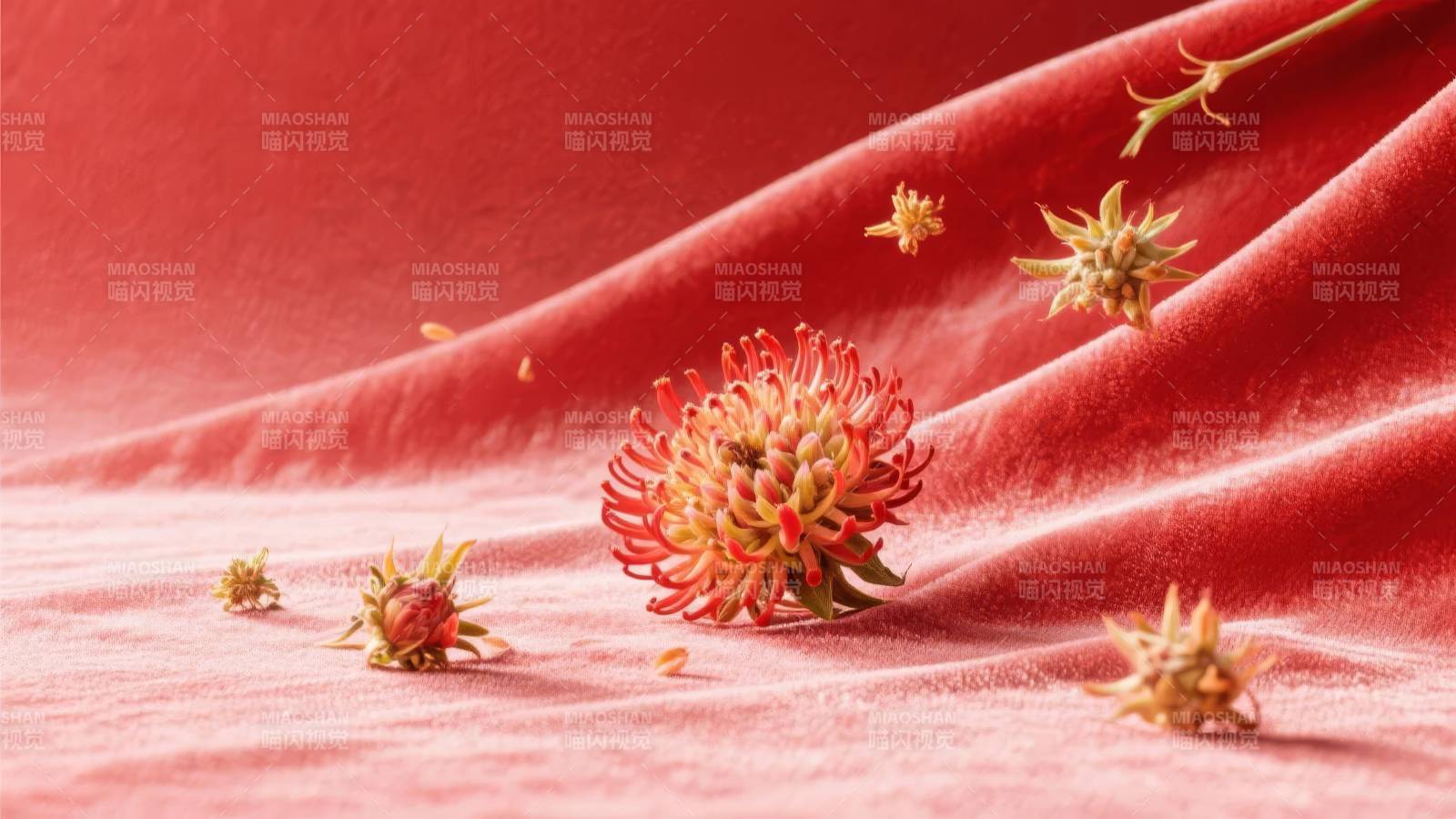 红绒上的花蕾图片