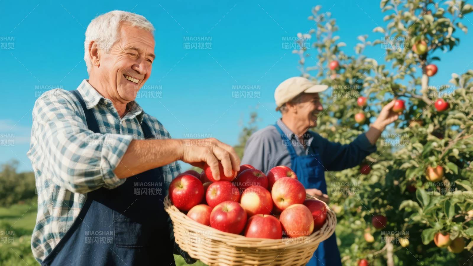 果园丰收乐图片