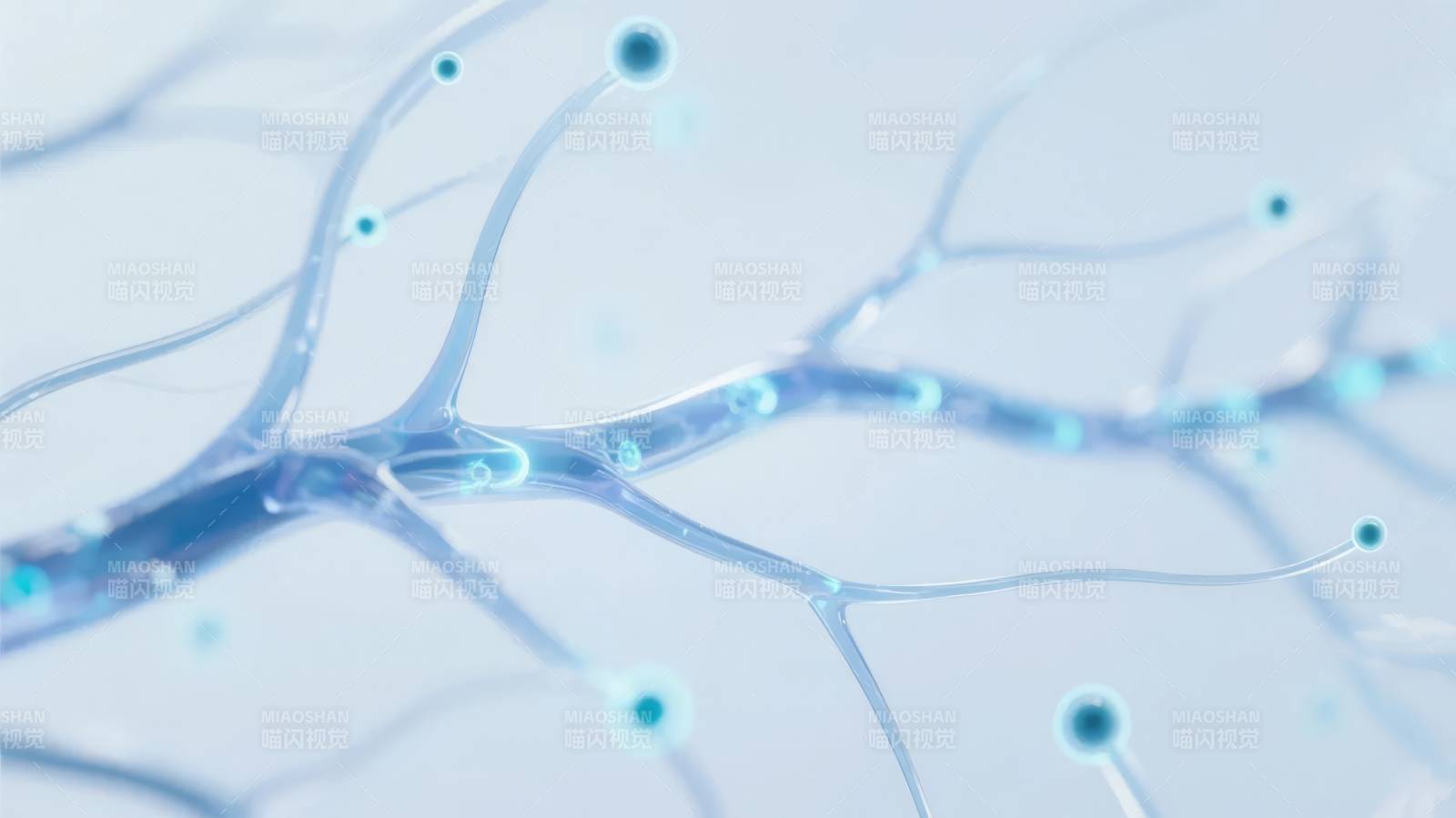 神经元网络结构图片