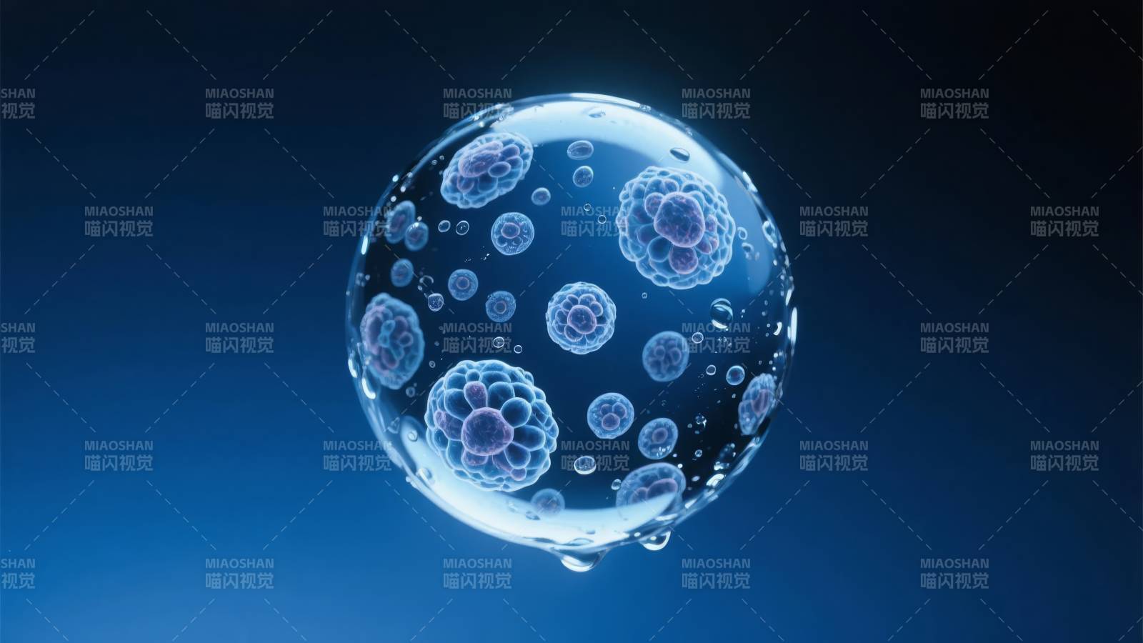 水珠中的细胞世界图片