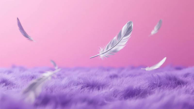 羽落紫绒梦图片