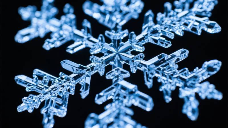 晶莹雪花特写图片