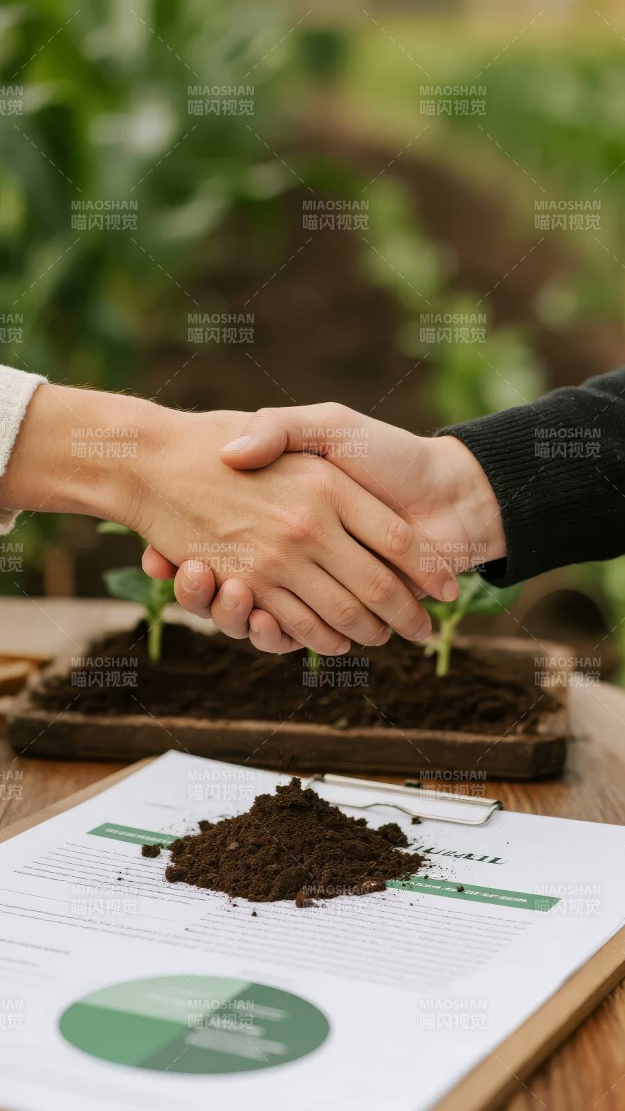 携手共植绿色未来图片