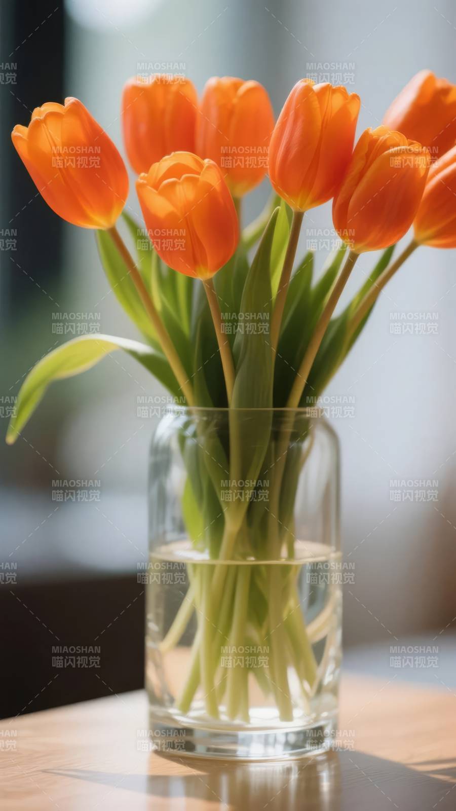 橙郁金香静谧绽放图片