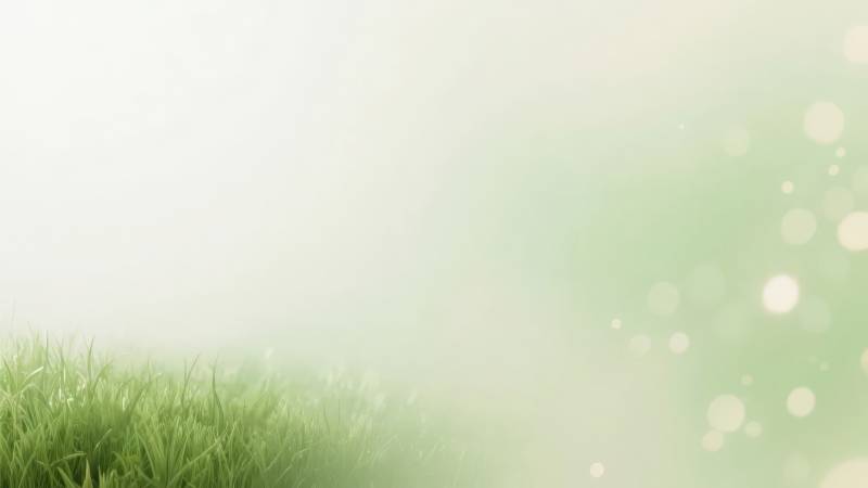 春日绿意盎然图片