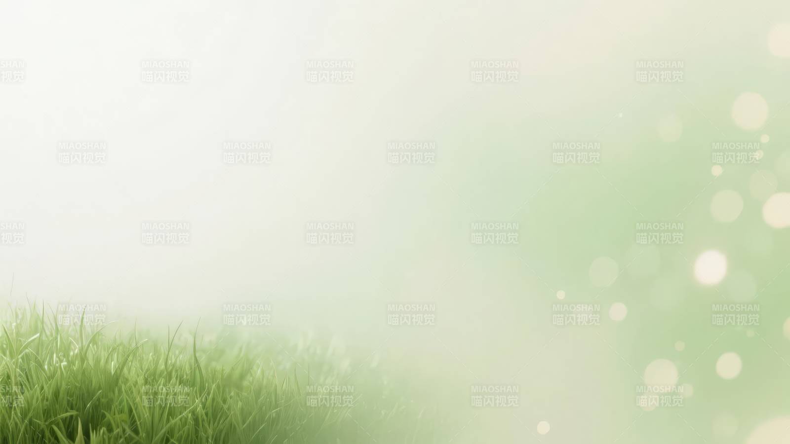 春日绿意盎然图片