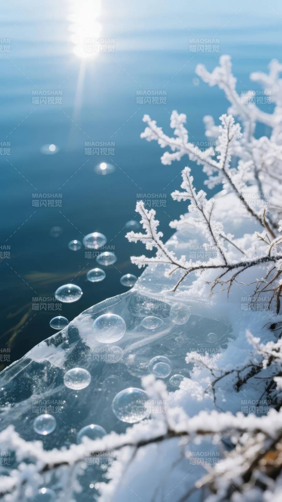 冰湖雪枝映日光图片