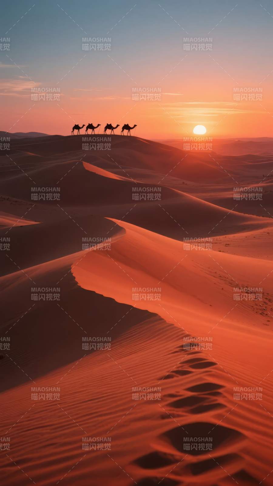 沙漠驼影日落图片