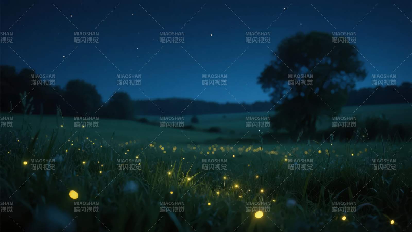 萤火虫夜景图片