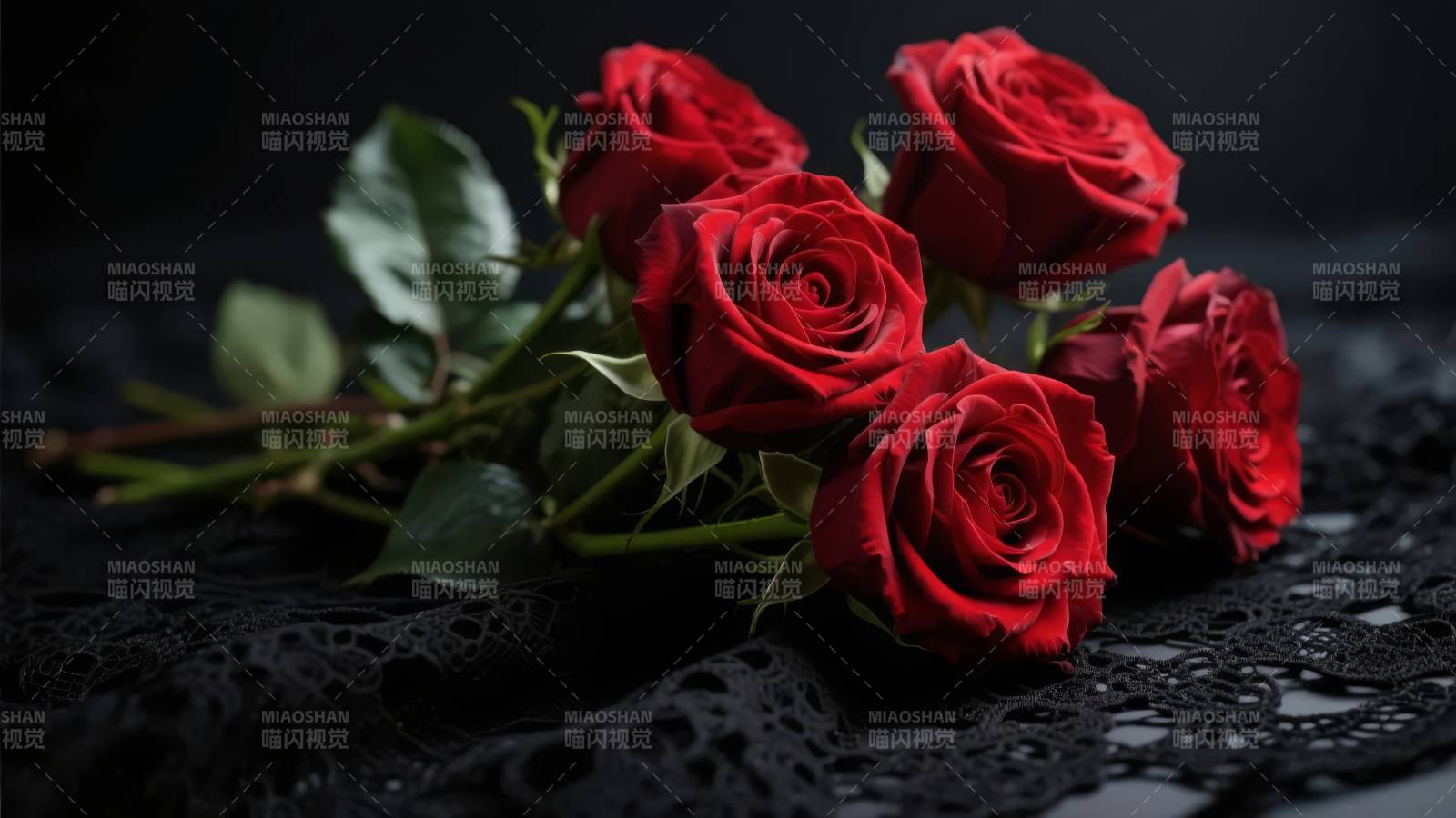 红玫瑰静谧之美图片