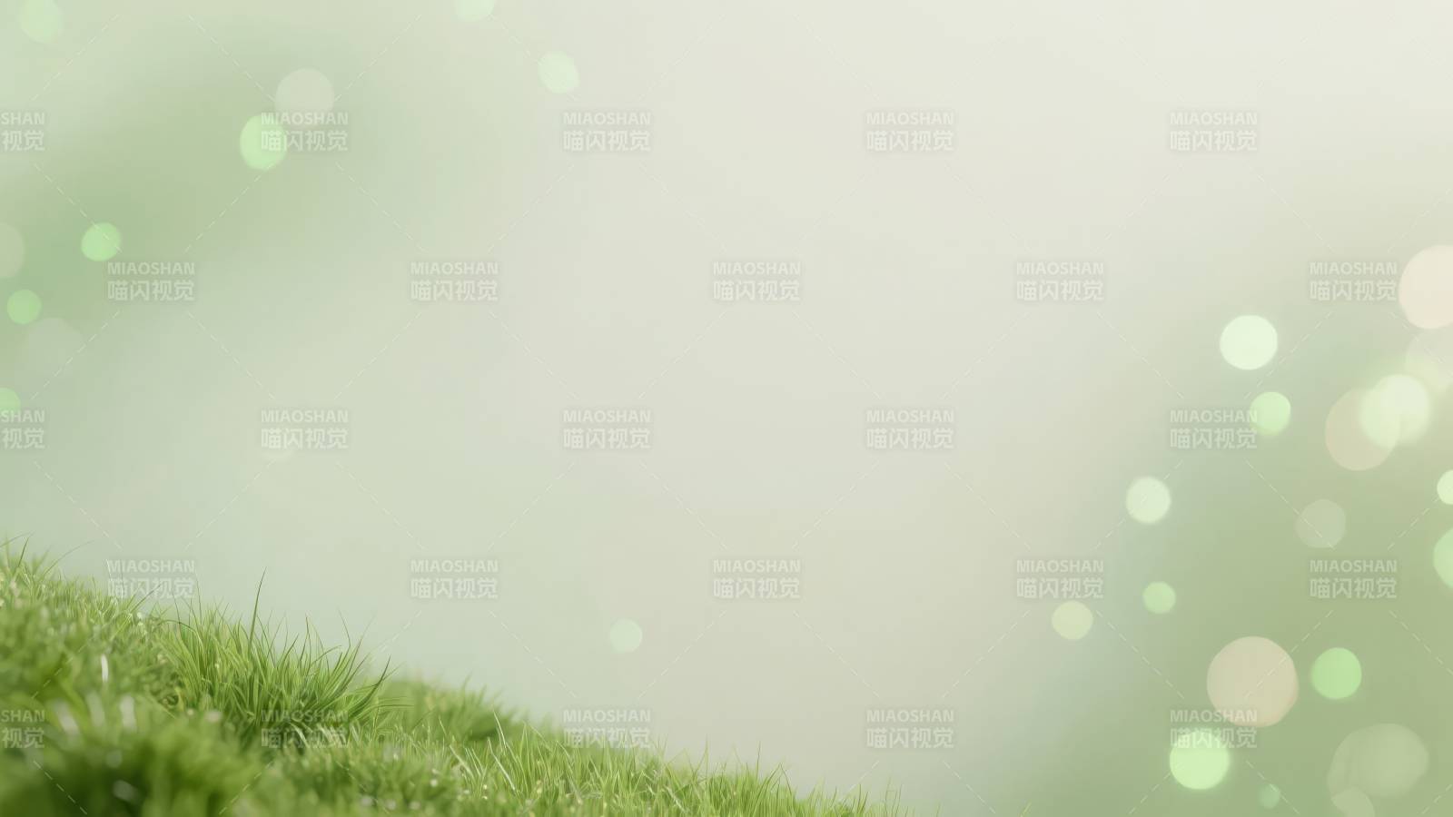 绿意盎然的草地图片