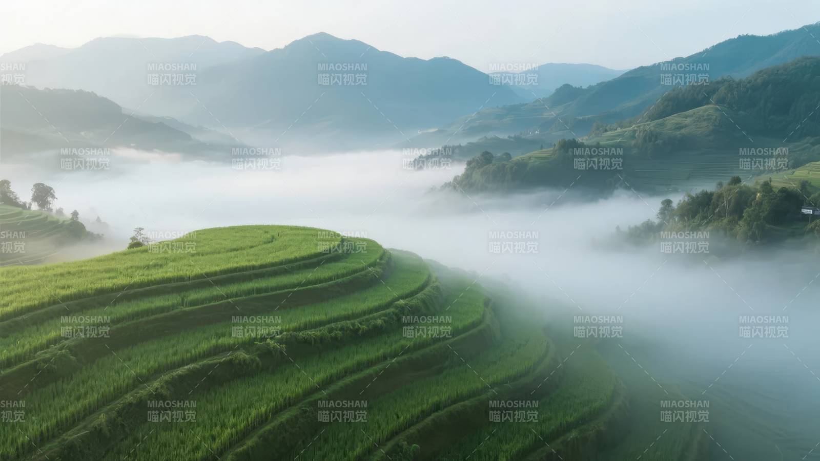 梯田晨雾图片