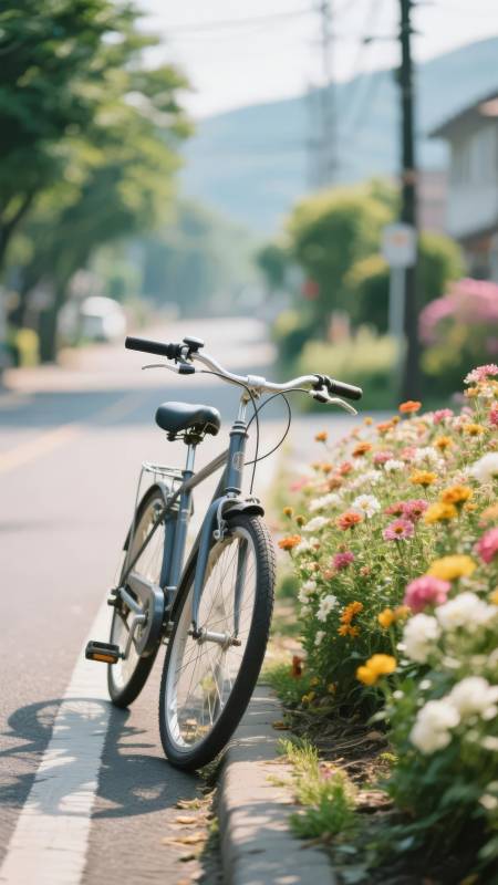 花畔单车静停图片