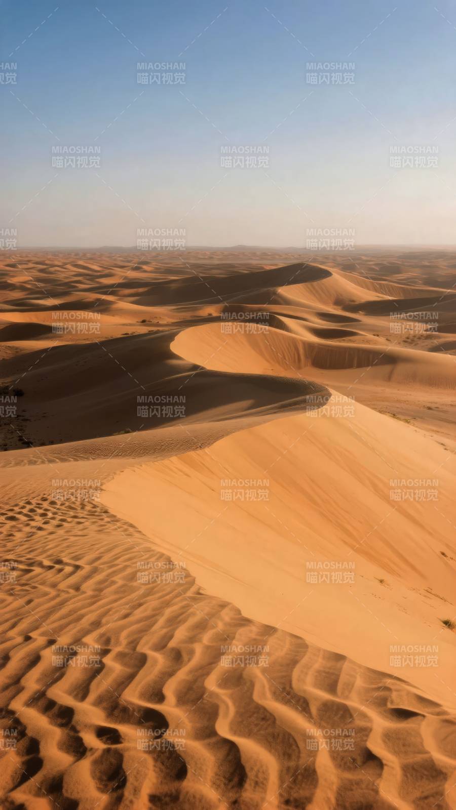 金色沙丘连绵起伏图片