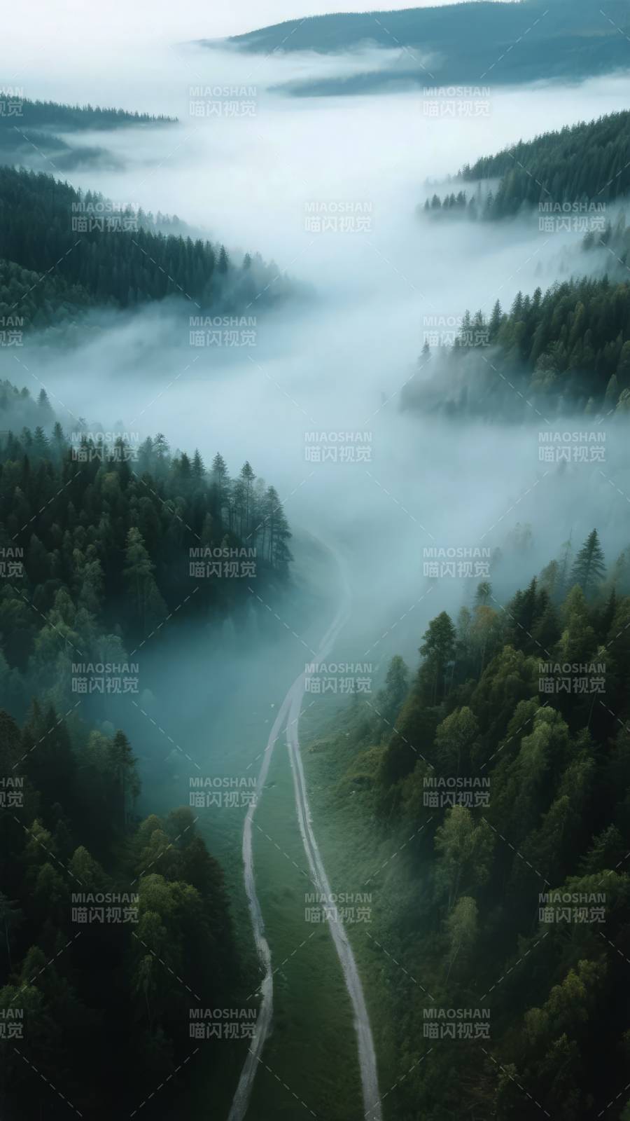 雾绕山林小径图片