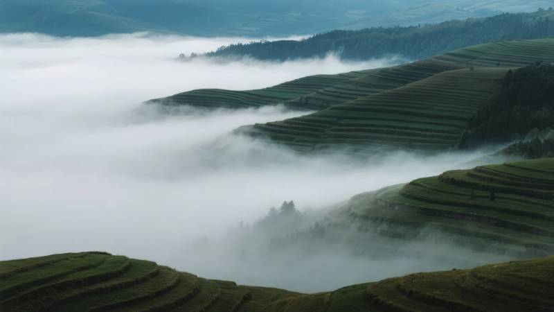 云海梯田图片