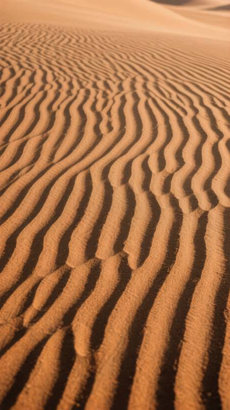 沙丘波纹图片
