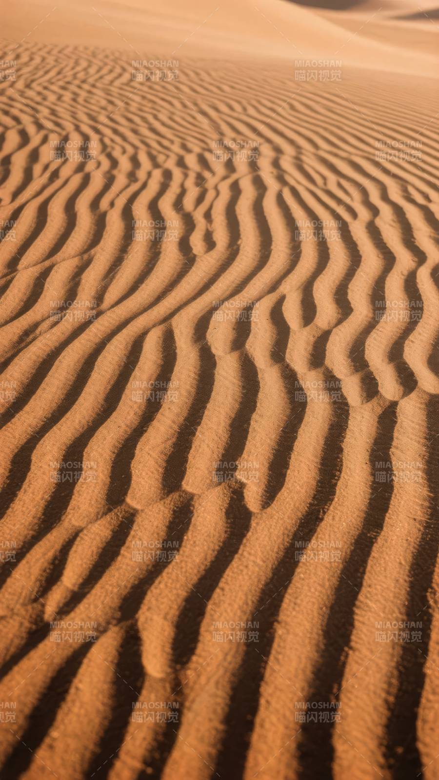 沙丘波纹图片
