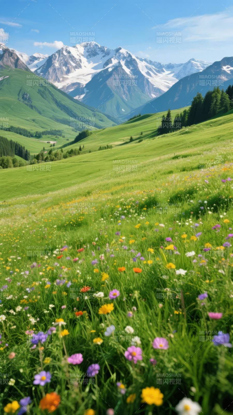 雪山花海春景图片