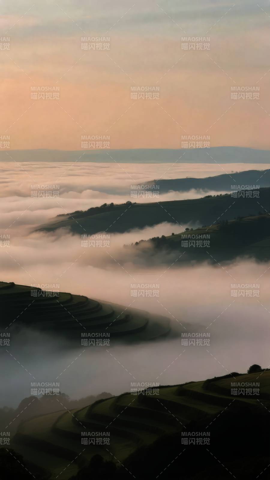 云海梯田晨曦图片