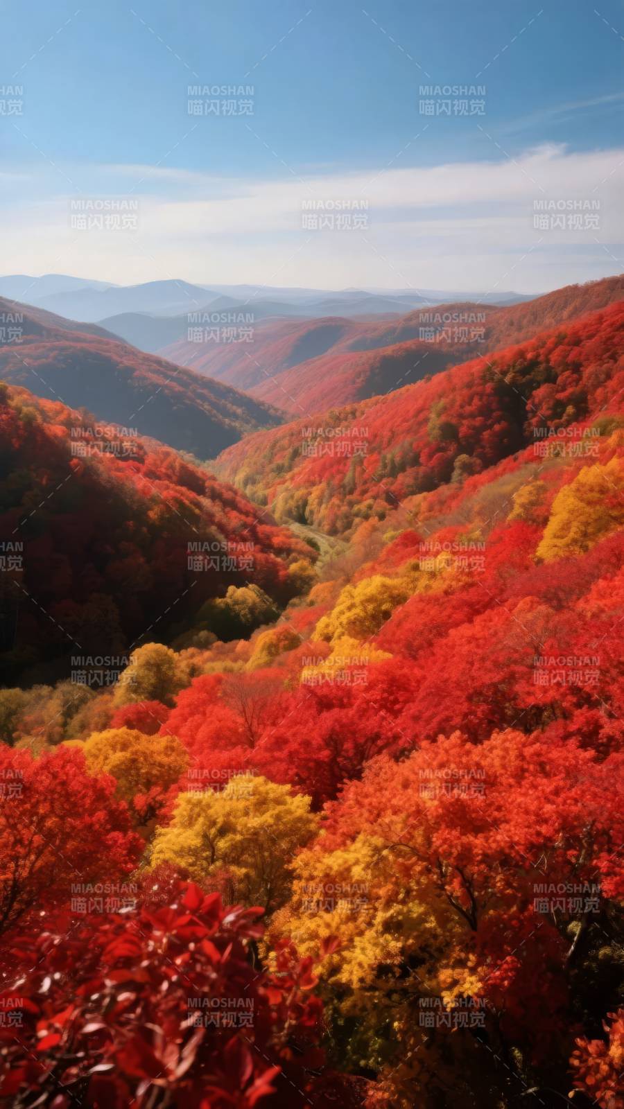 秋山红叶如画图片