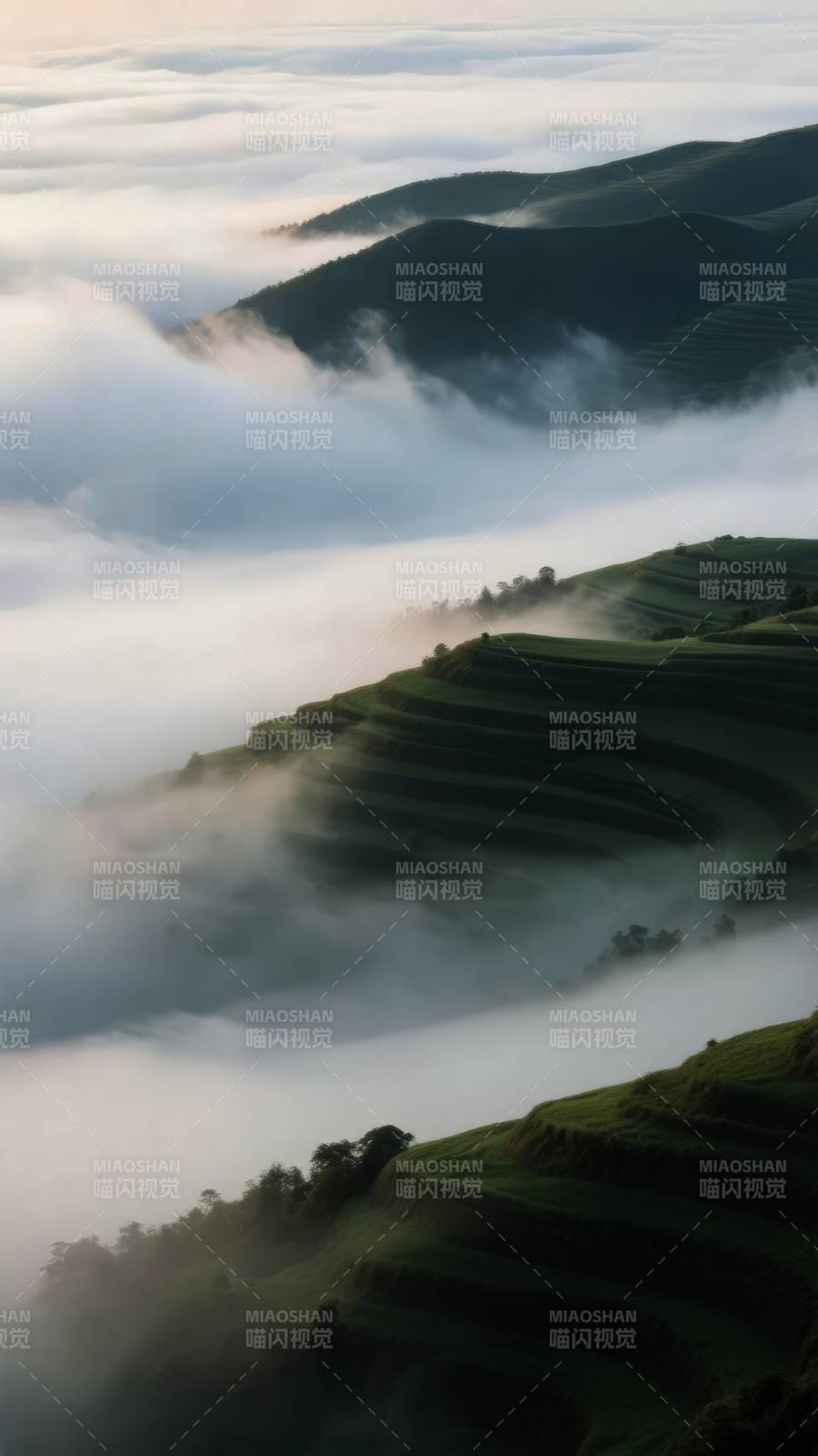 云海梯田晨曦图片