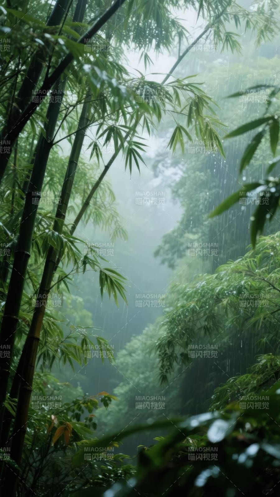 雨雾竹林图片