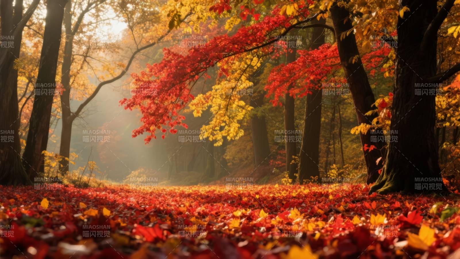 秋林落叶铺金红图片