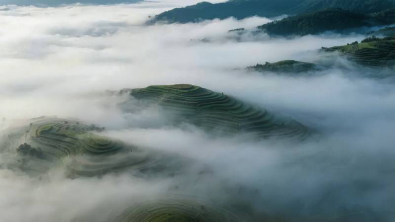 云海梯田图片