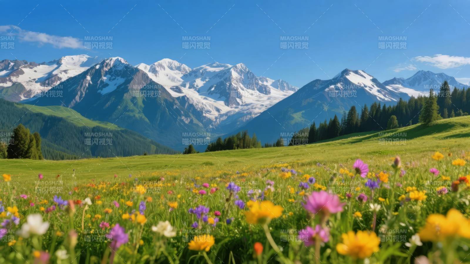 雪山花海风光图片