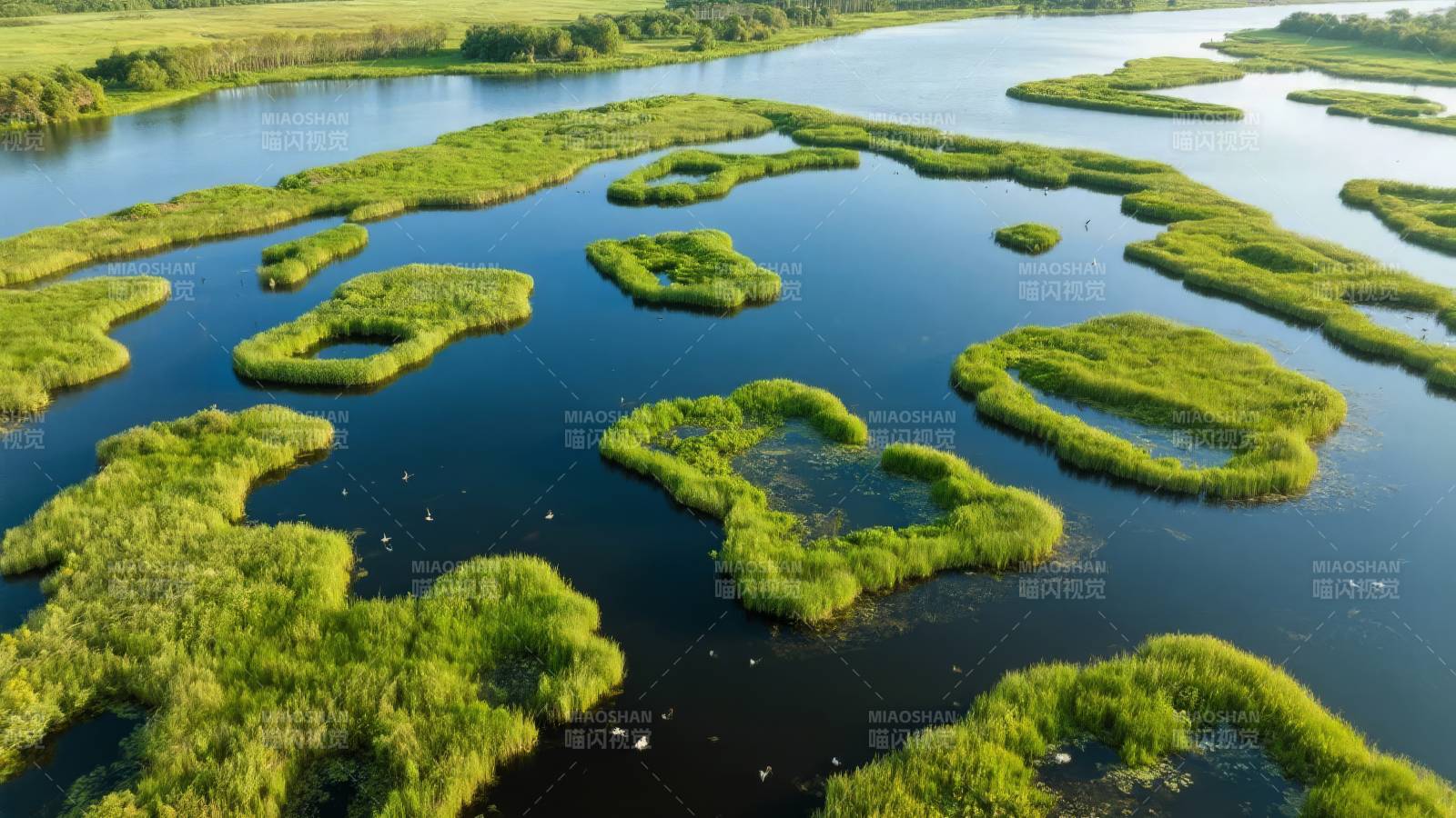 湿地绿洲航拍图图片