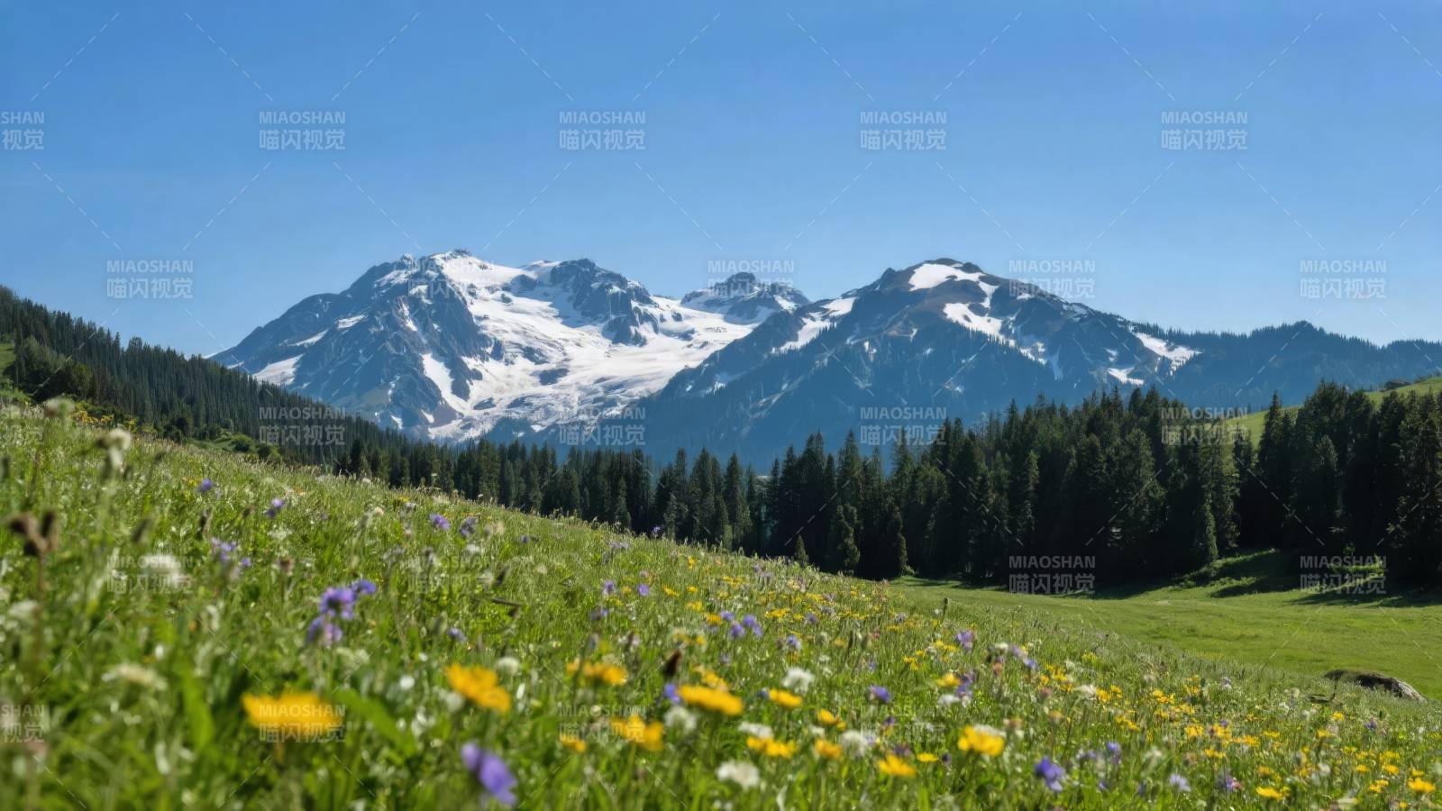 雪山花海风光图片