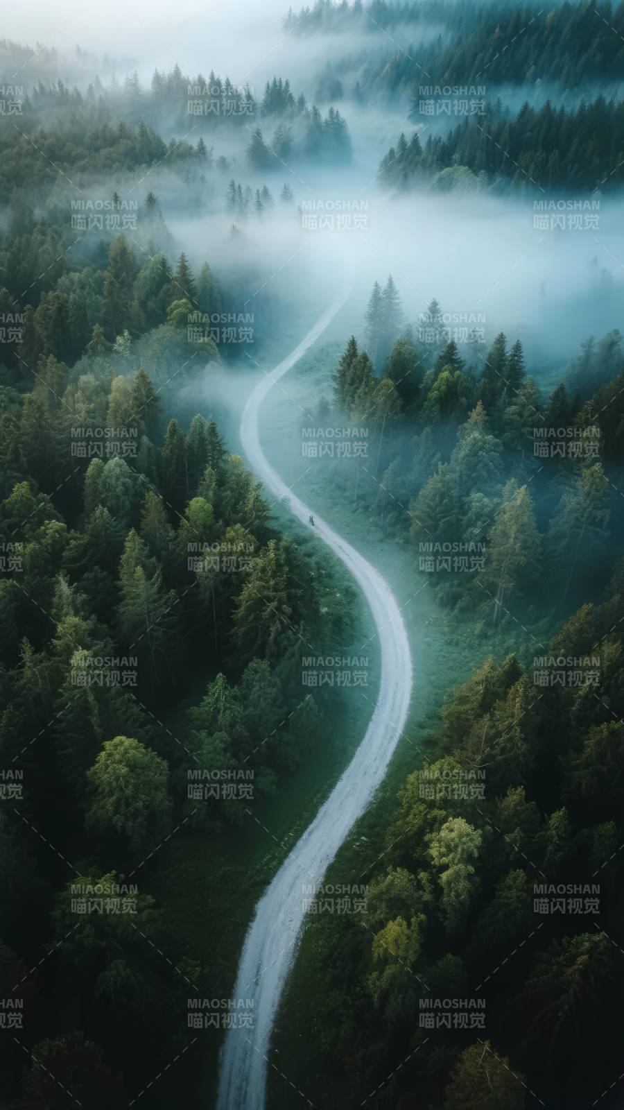 雾绕林间小径图片